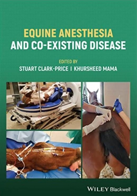 Equine Anesthesia and Co-Existing Disease 1st ed