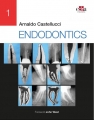 Endodontics, 2 Volume Set, 1st Edition