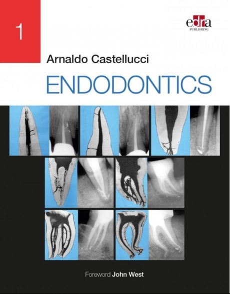 Endodontics, 2 Volume Set, 1st Edition