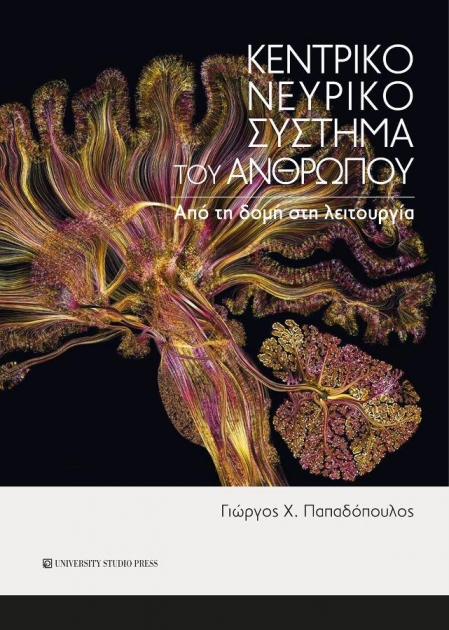 Κεντρικό Νευρικό Σύστημα του Ανθρώπου: Από τη Δομή στη Λειτουργία