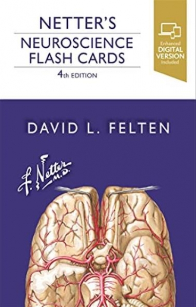 Netter`s Neuroscience Flash Cards, 4th Edition