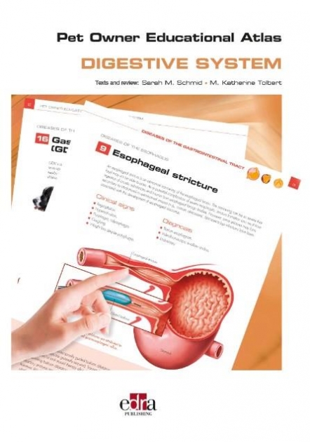 Pet Owner Educational Atlas. Digestive System, 1st Edition