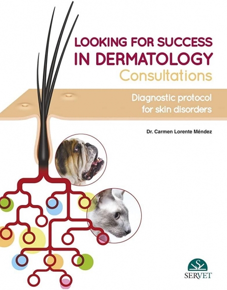 Looking for Success in Dermatology Consultations, Diagnostic Protocol for Skin and Disorders