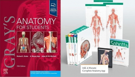 Gray`s Anatomy for Students 5Ed. and Paulsen: Sobotta Atlas of Anatomy, Package, 17th ed., English/Latin-Value Pack, 5th Edition