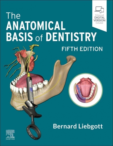 The Anatomical Basis of Dentistry 5th edition