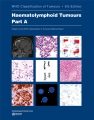 WHO Classification of Tumours: Haematolymphoid Tumours, 5th Edition