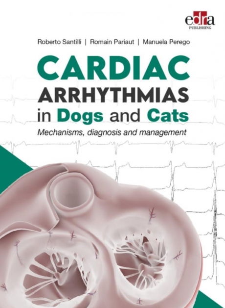 Cardiac Arrhythmias in Dogs and Cats: Mechanisms, Diagnosis and Management