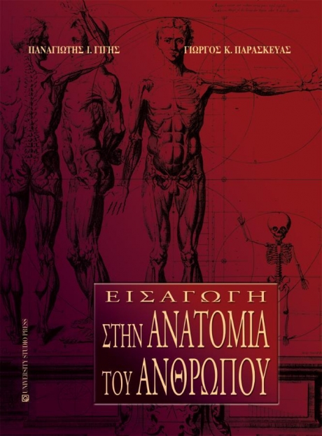 Εισαγωγή στην Ανατομία του Ανθρώπου