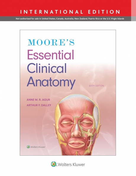 Moore`s Essential Clinical Anatomy 7e Lippincott Connect International Edition Print Book and Digital Access Card Package