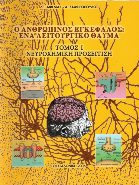 Ο Ανθρώπινος Εγκέφαλος: Ένα Λειτουργικό Θαύμα
