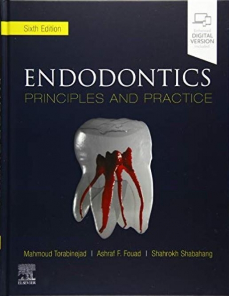 Endodontics 6th Edition