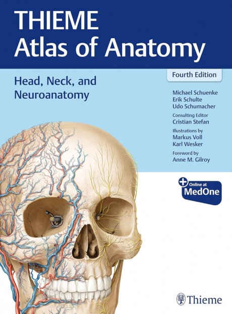THIEME Atlas of Anatomy: Head, Neck, and Neuroanatomy, 4th Edition