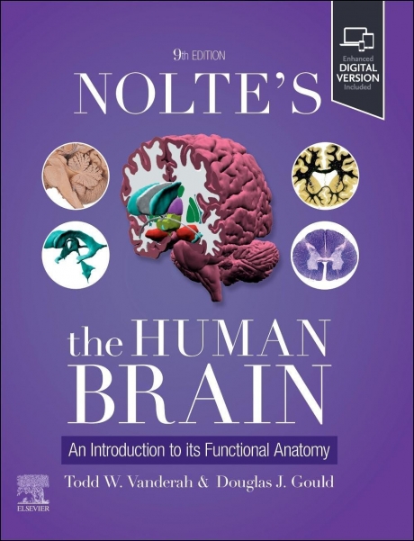 Nolte`s The Human Brain: An Introduction to its Functional Anatomy, 9th Edition