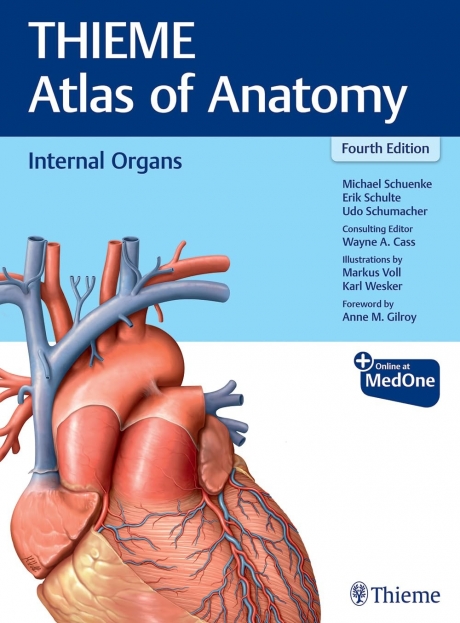 Internal Organs (THIEME Atlas of Anatomy), 4th Edition