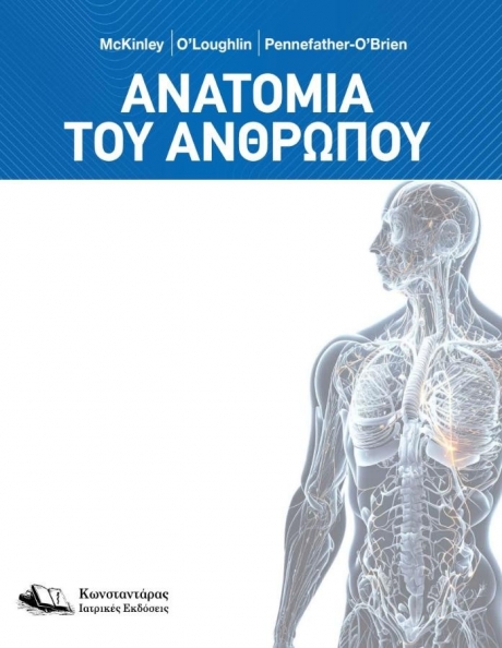 Ανατομία του ανθρώπου