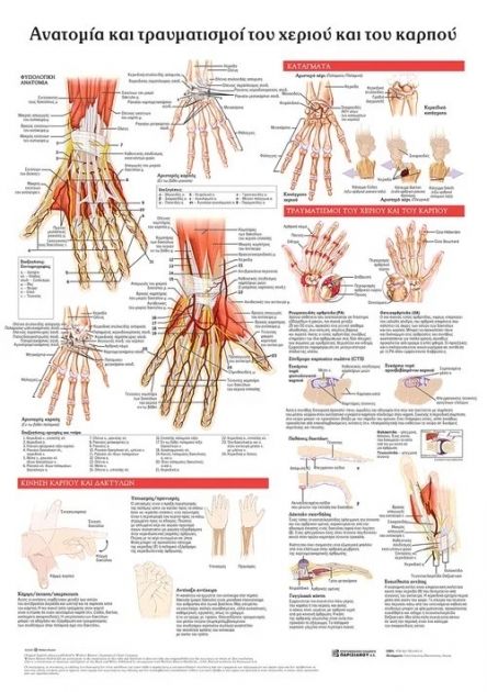 Ανατομικός Χάρτης: Ανατομία και Τραυματισμοί του Χεριού και του Καρπού