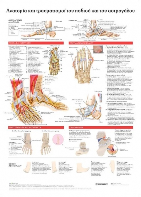 Ανατομικός Χάρτης: Ανατομία και Τραυματισμοί του Ποδιού και του Αστραγάλου