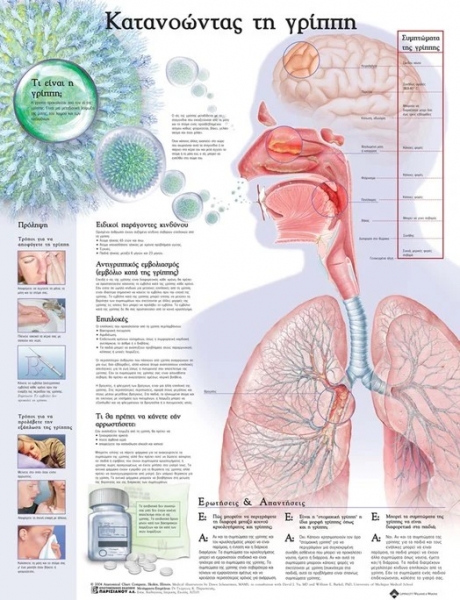 Ανατομικός Χάρτης: Κατανοώντας τη Γρίππη