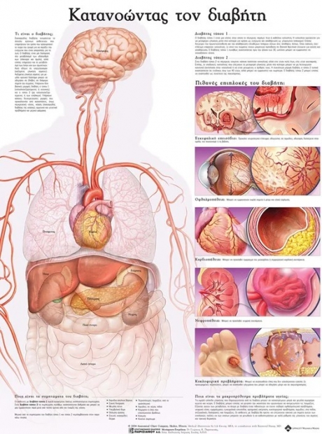 Ανατομικός Χάρτης: Κατανοώντας τον Διαβήτη