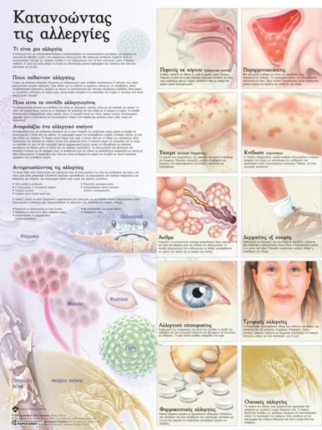 Ανατομικός Χάρτης: Κατανοώντας τις Αλλεργίες