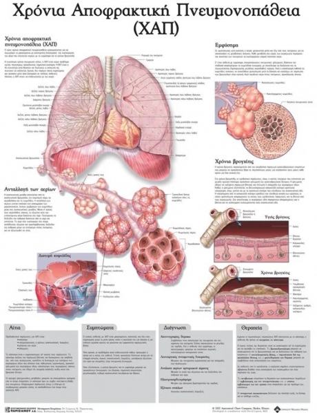 Ανατομικός Χάρτης: Χρόνια Αποφρακτική Πνευμονοπάθεια (ΧΑΠ)