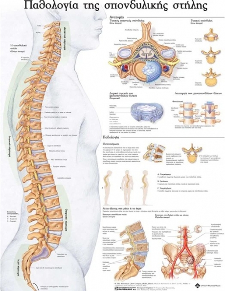 Ανατομικός Χάρτης: Παθολογία της Σπονδυλικής Στήλης