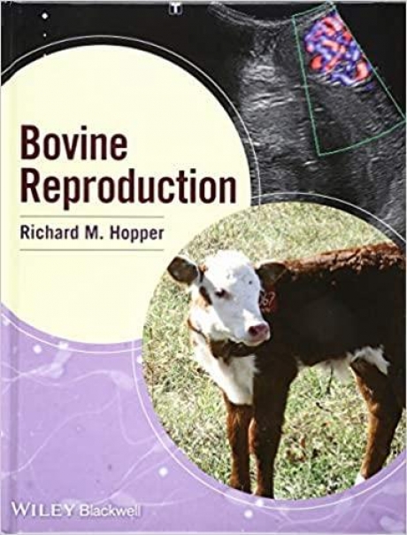 Bovine Reproduction