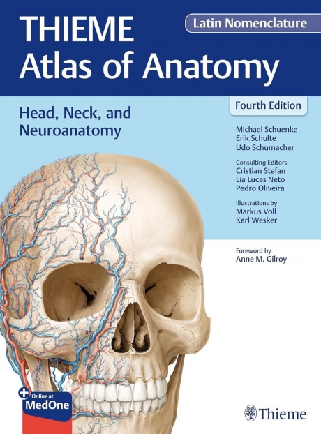 THIEME Atlas of Anatomy: Head, Neck, and Neuroanatomy (Latin Nomenclature), 4th Edition