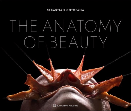 The Anatomy of Beauty