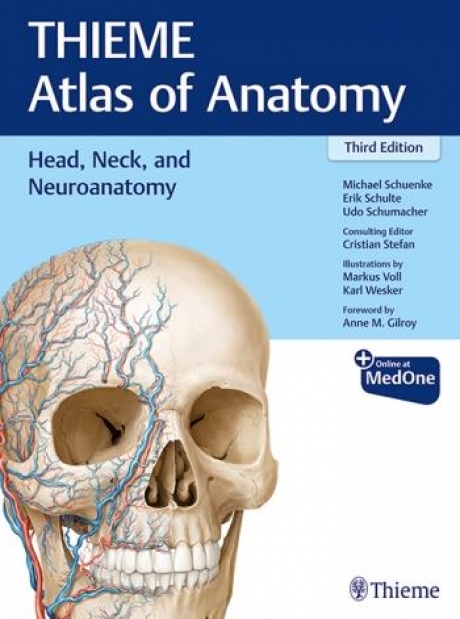 Head, Neck, and Neuroanatomy (THIEME Atlas of Anatomy), 3rd Edition